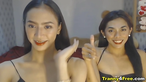 Asian shemale with a small body is fucking a big dick