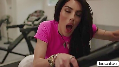 Busty Ladyboy Ariel Demure Anal Sex With Horny Bald Gym Buddy